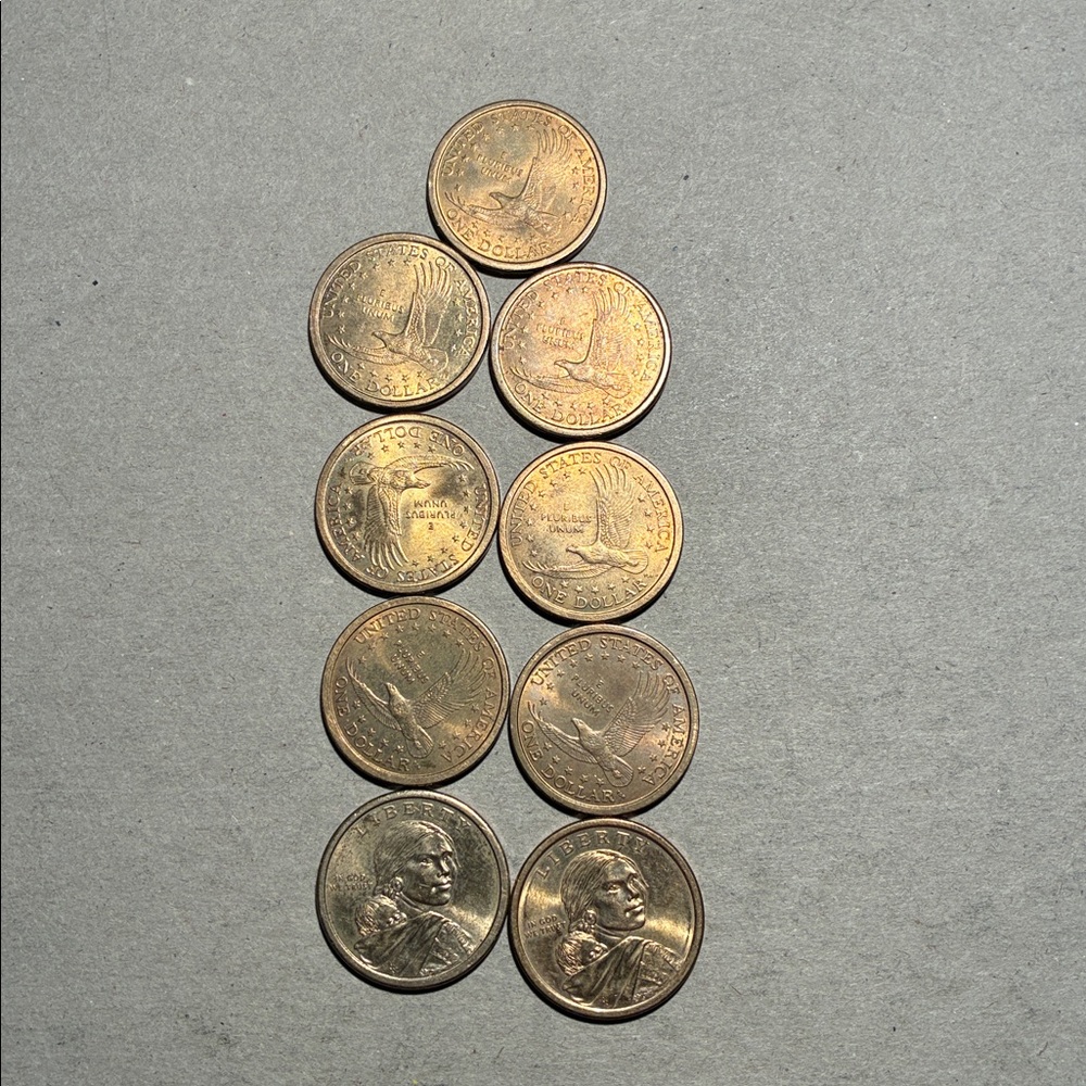 Sacagawea Native American $1 lot - Picture 2 of 4